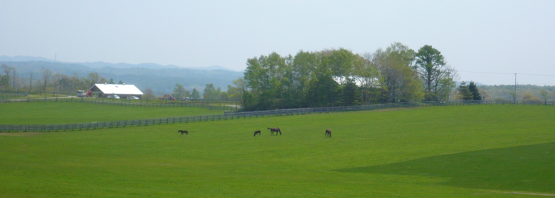 farm